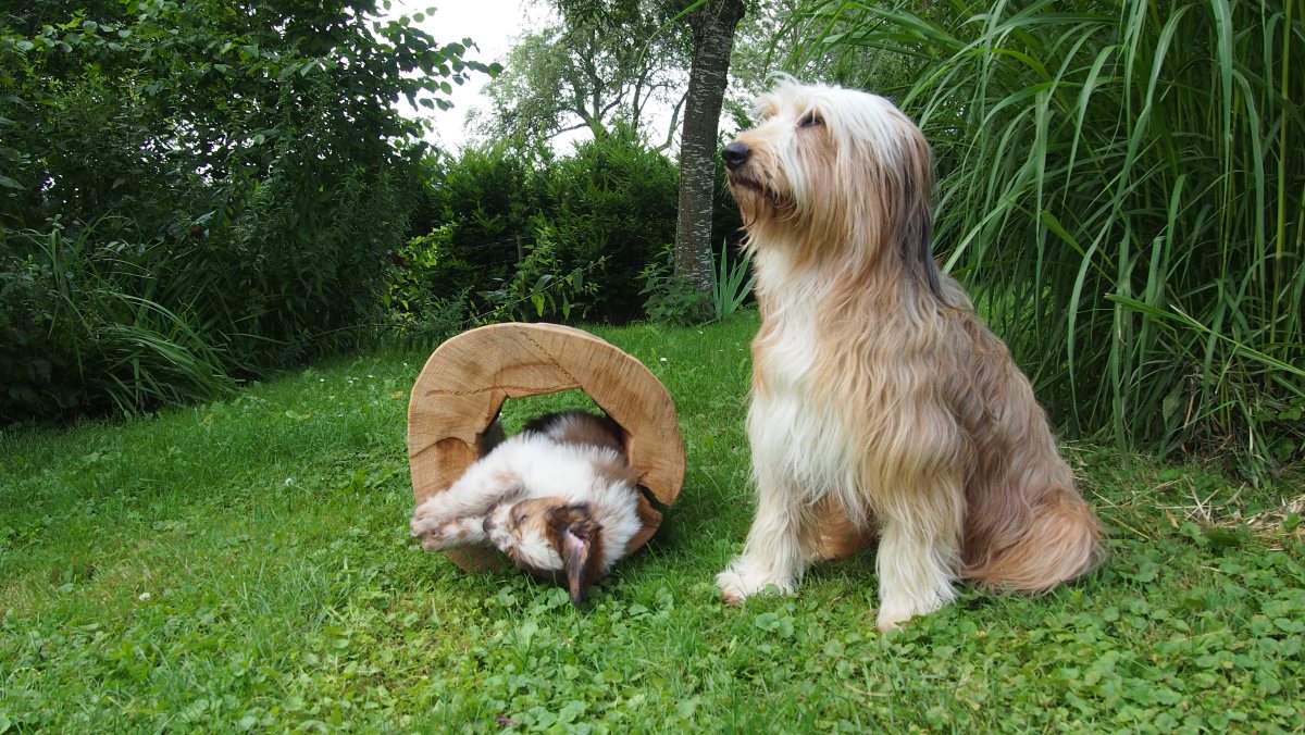 Wäller von der Straubenhalde