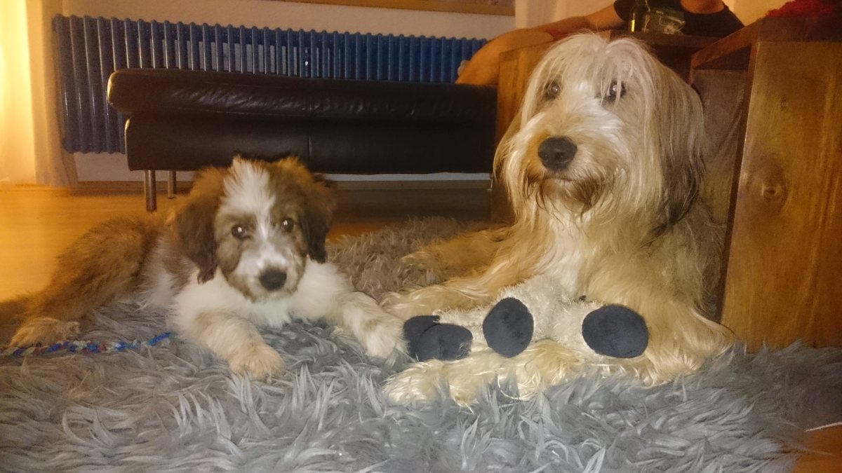 Wäller von der Straubenhalde