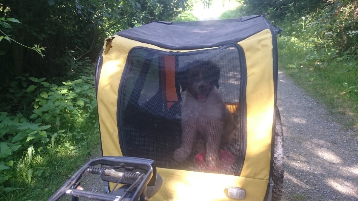 Wäller von der Straubenhalde