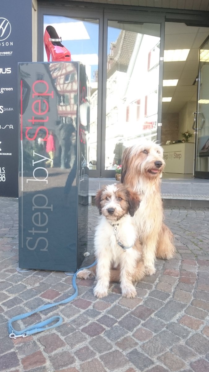 Wäller von der Straubenhalde