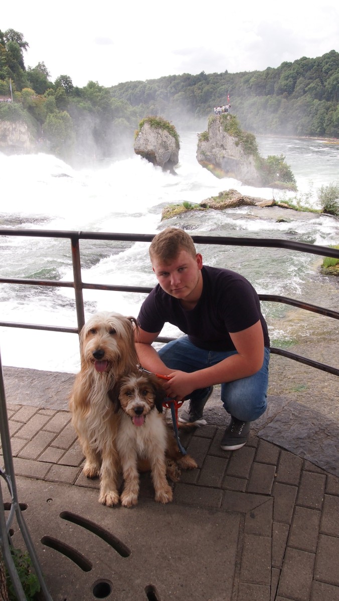 Wäller von der Straubenhalde