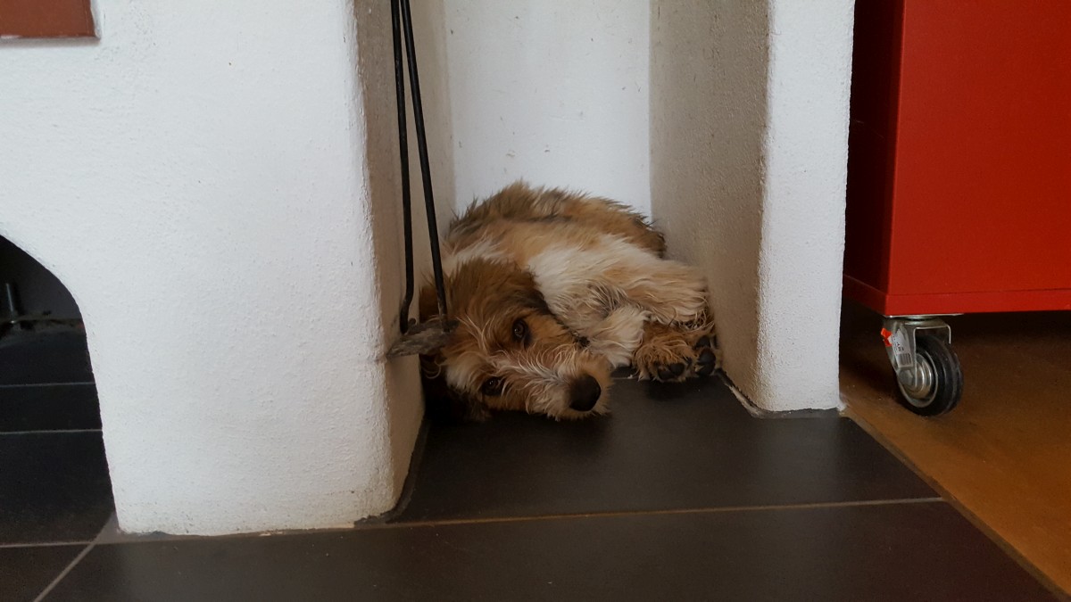 Wäller von der Straubenhalde