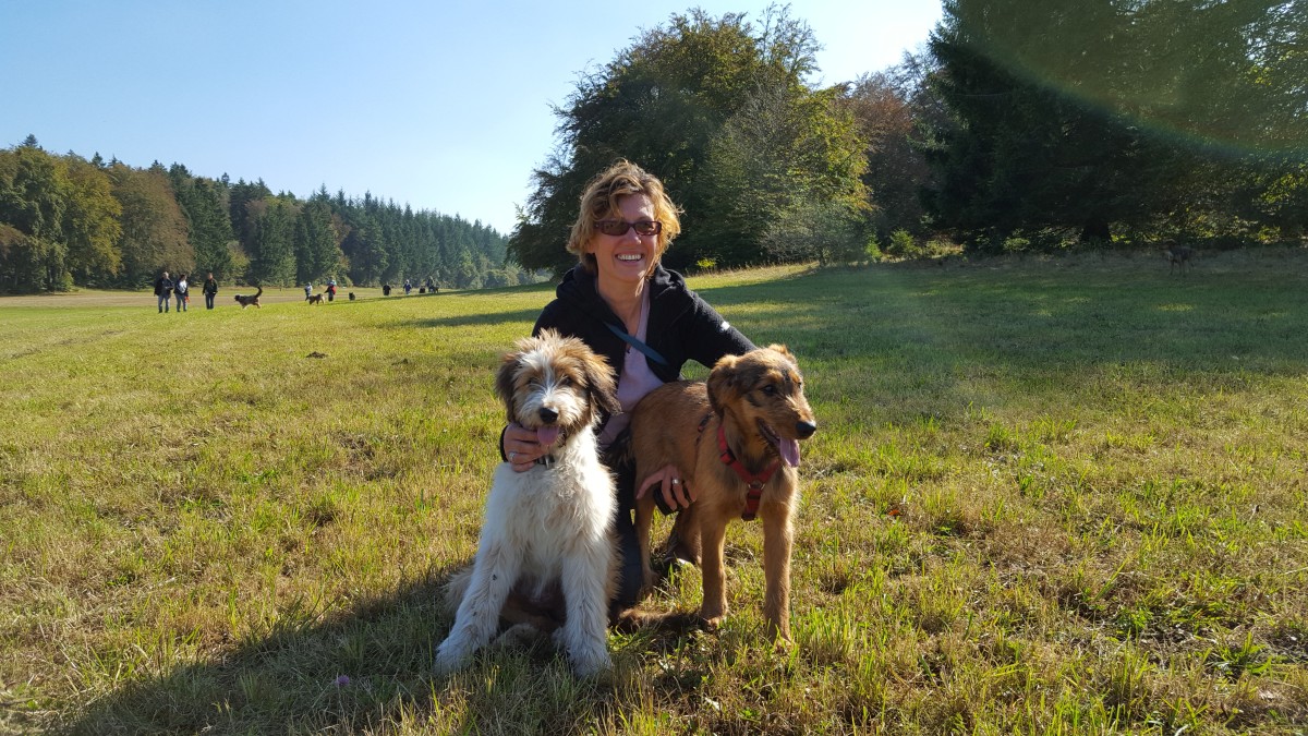 Wäller von der Straubenhalde