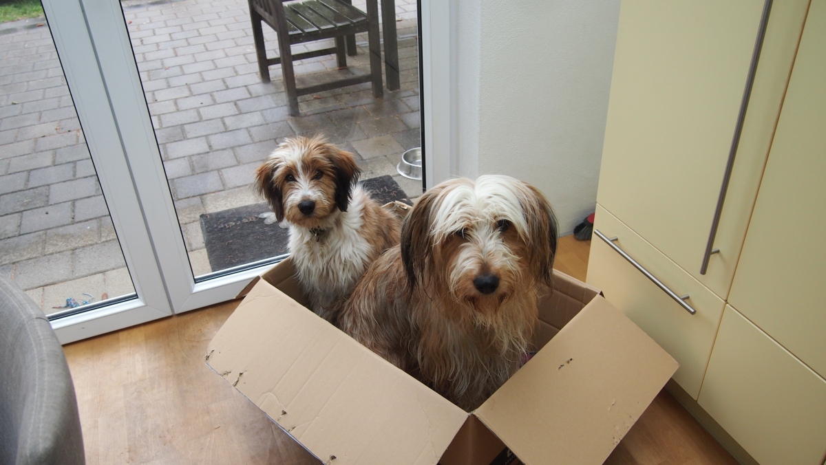 Wäller von der Straubenhalde