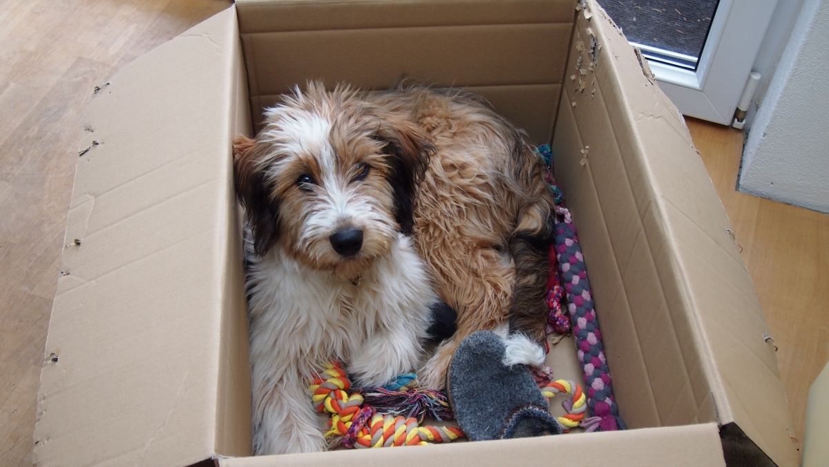 Wäller von der Straubenhalde