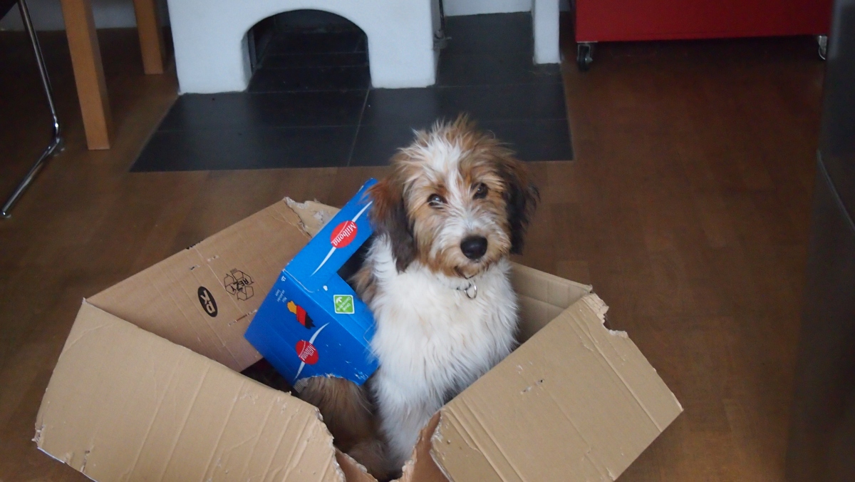 Wäller von der Straubenhalde