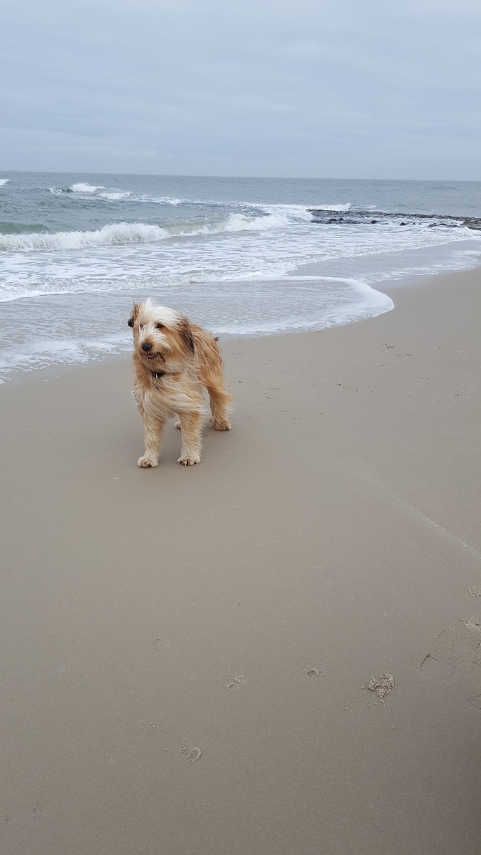 Wäller von der Straubenhalde