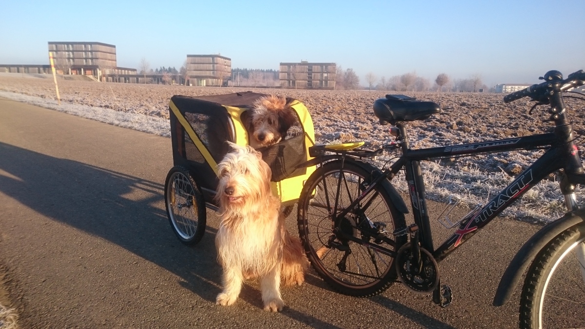 Wäller von der Straubenhalde