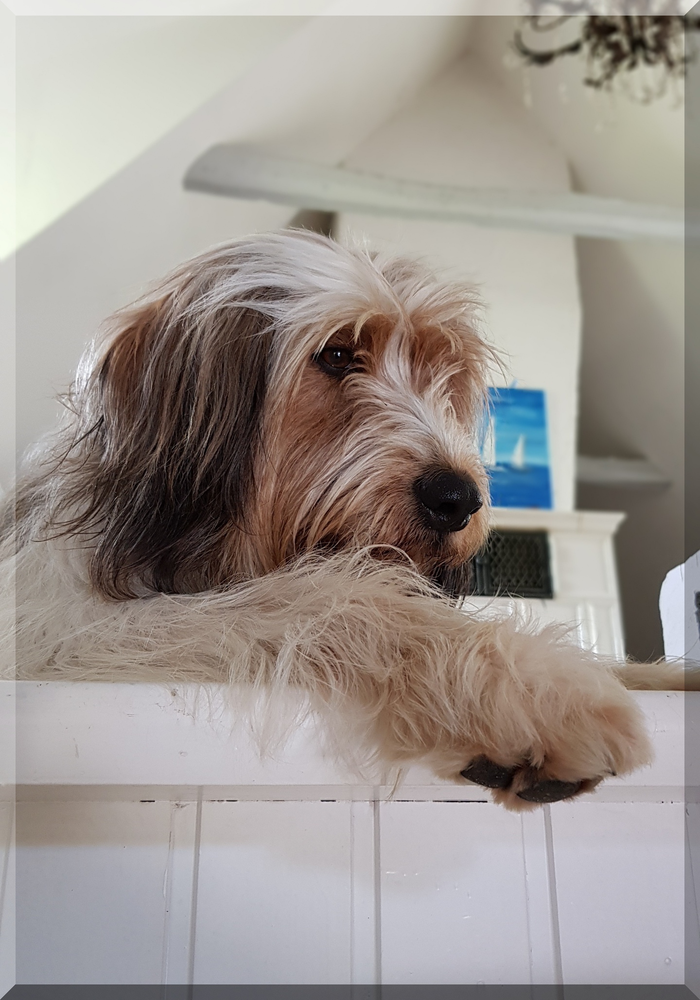 Bailey-von-der-Straubenhalde