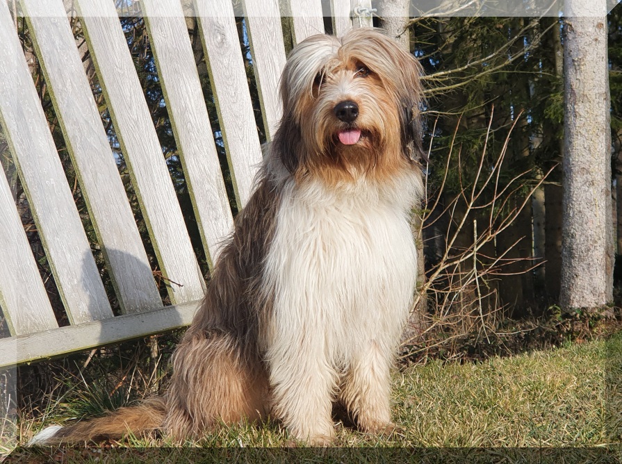 Bailey-von-der-Straubenhalde