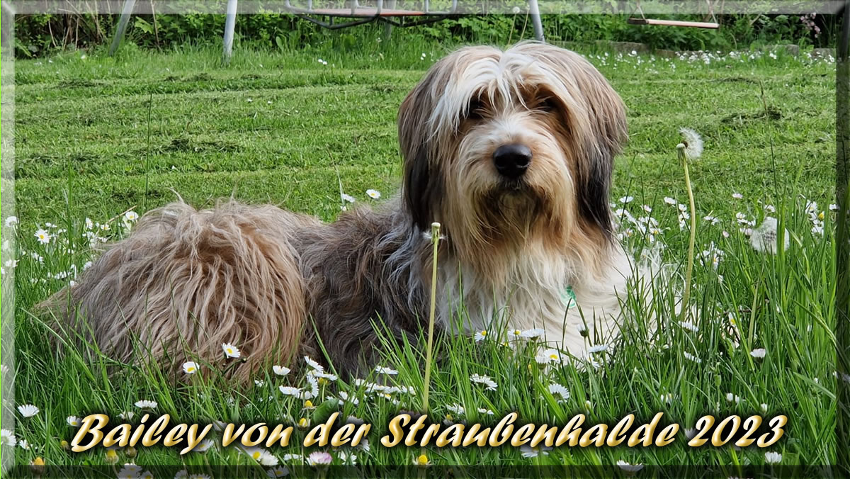Bailey-von-der-Straubenhalde 7 Jahre 
