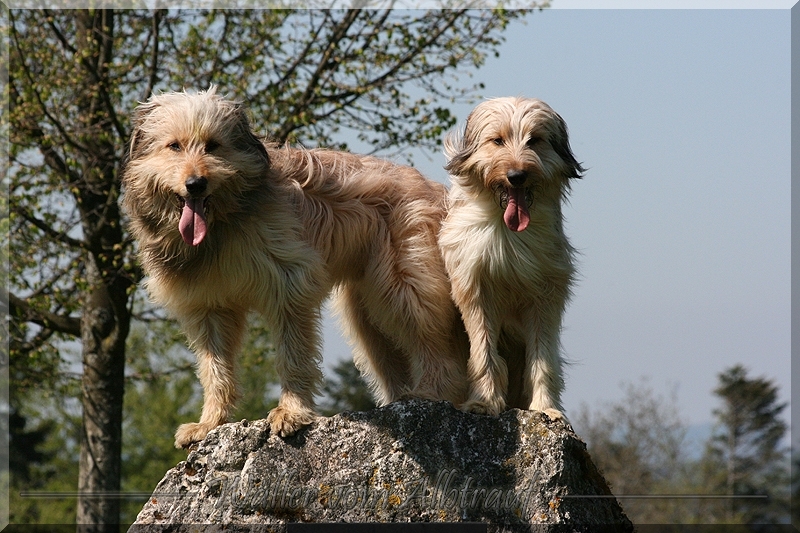Fiona und Sam vom Albtrauf