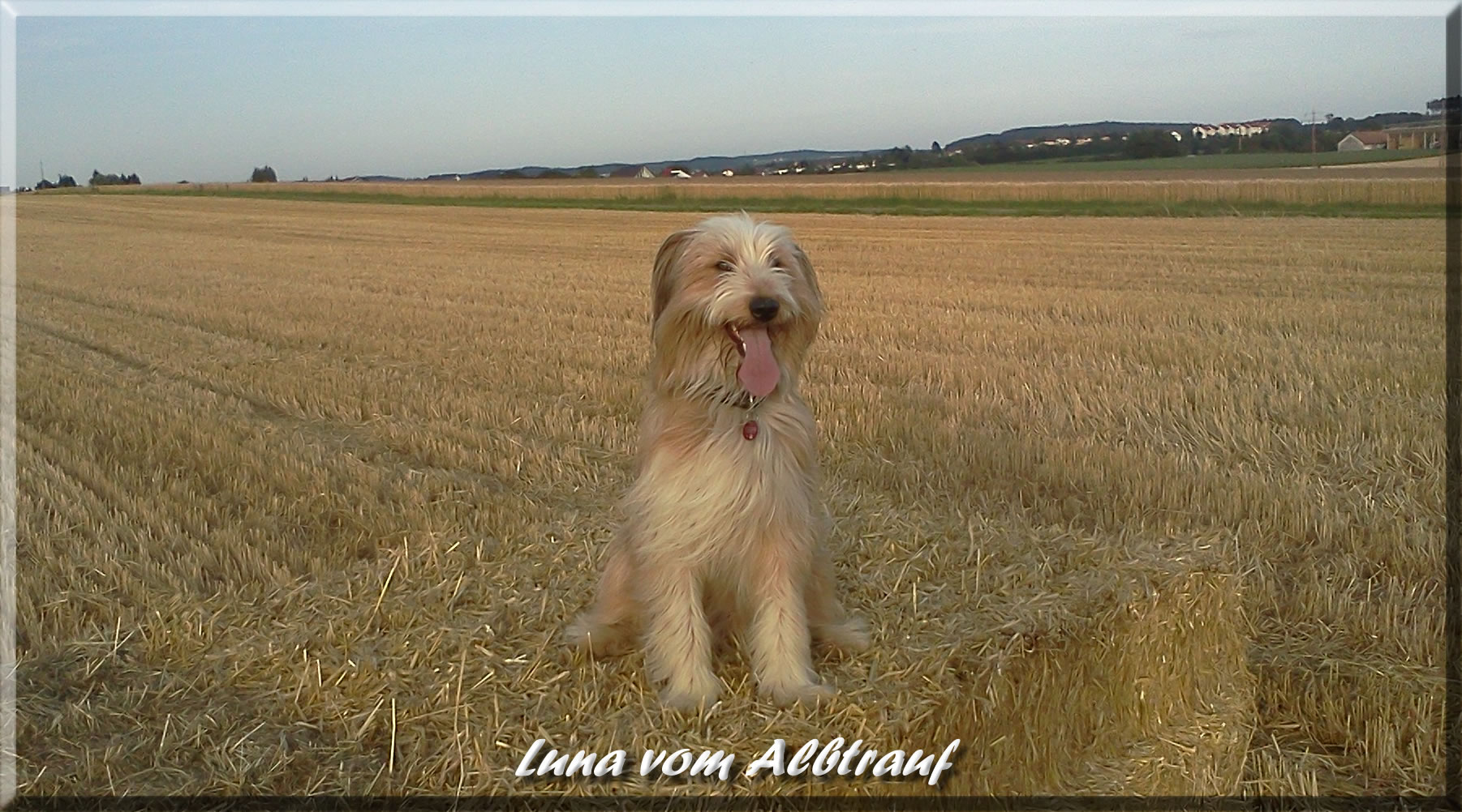 A-Luna - Wäller von der Straubenhalde