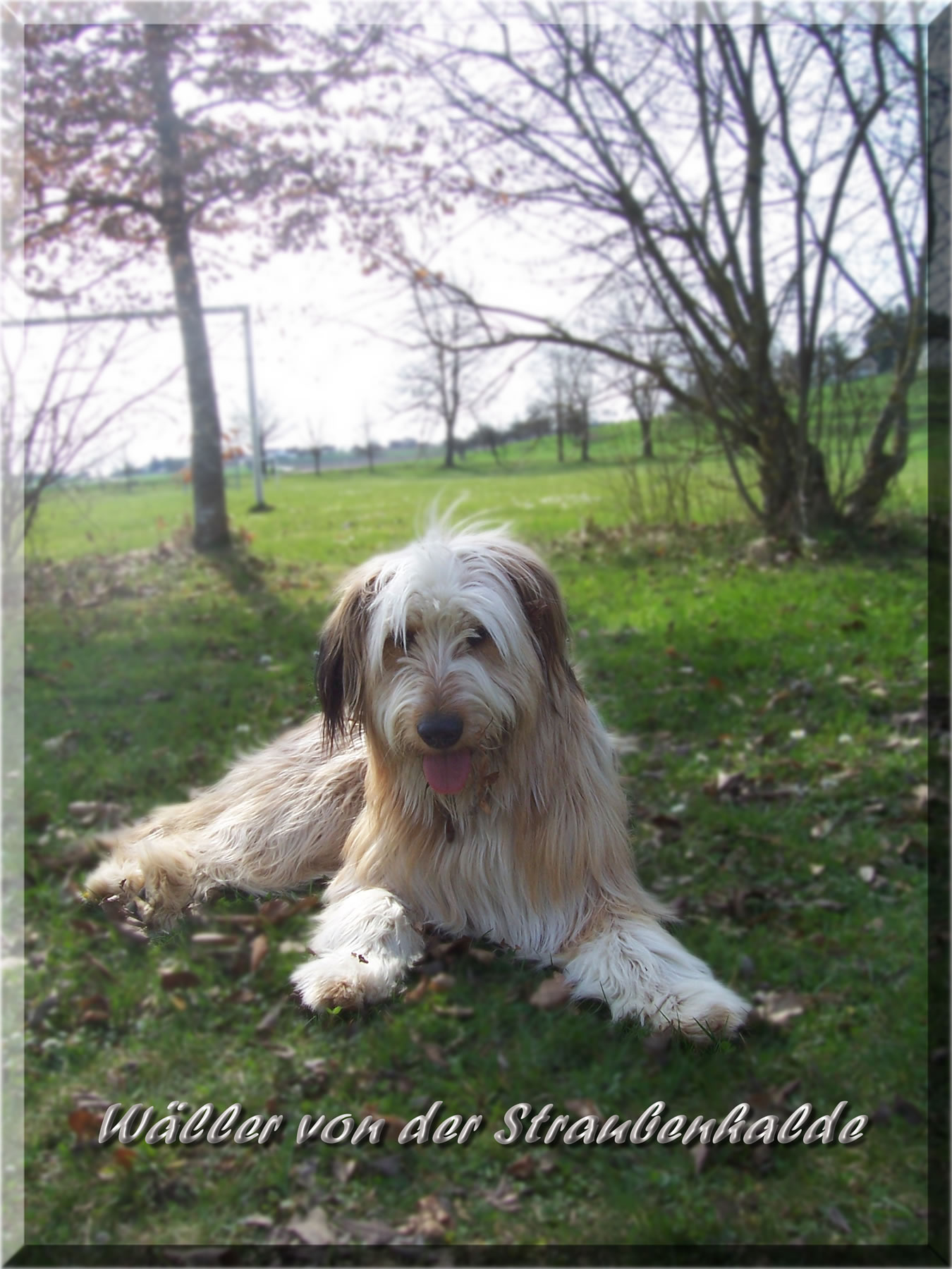 A-Luna - Wäller von der Straubenhalde