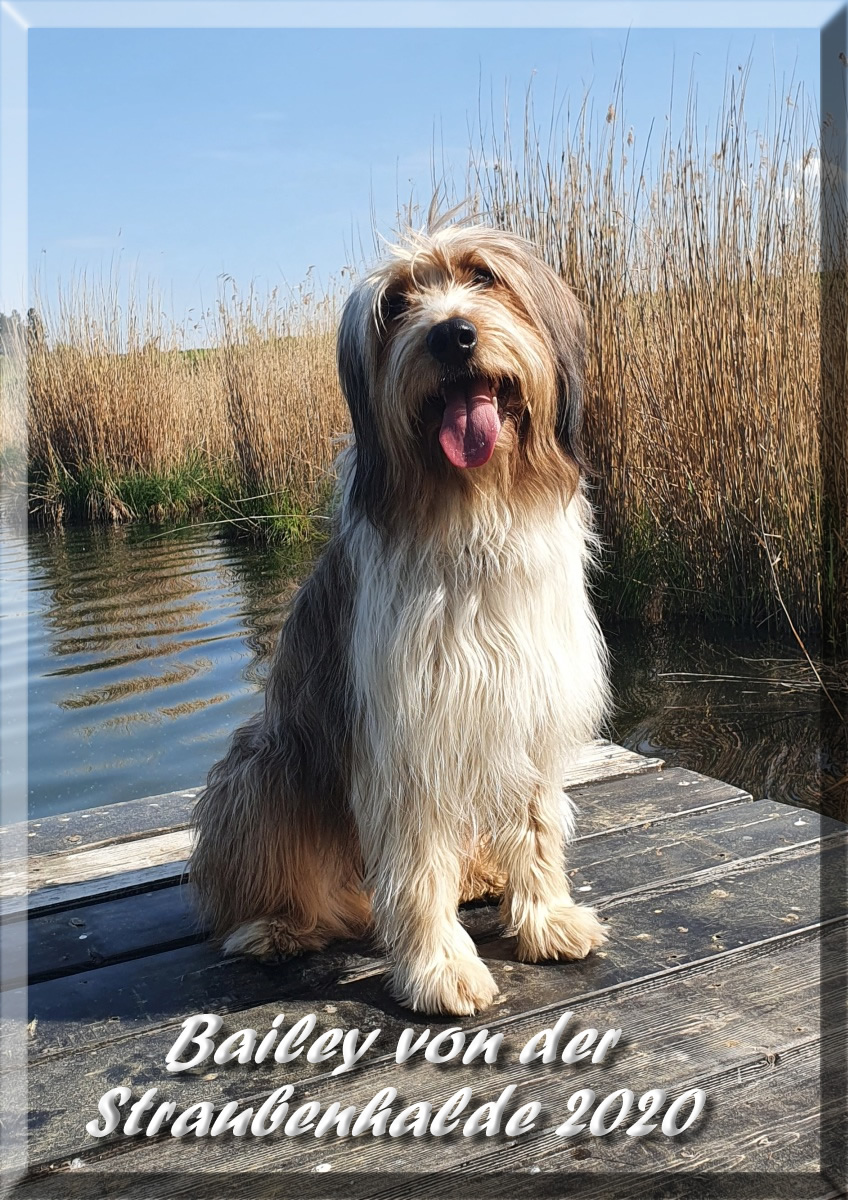 Bailey-von-der-Straubenhalde 4 Jahre 