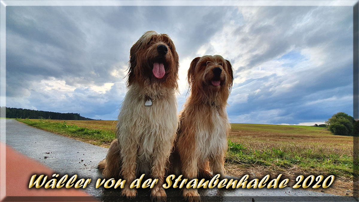 Waeller-von-der-Straubenhalde-2020