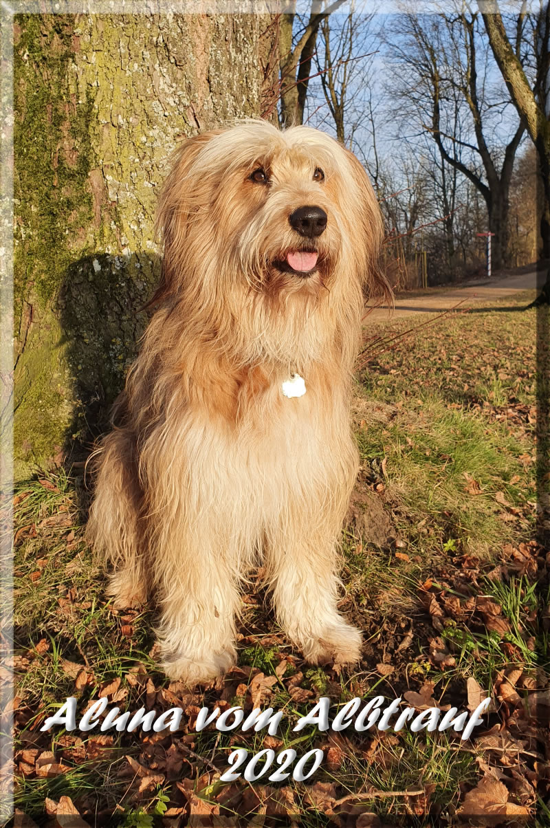 Luna_von_der_Straubenhalde_2020