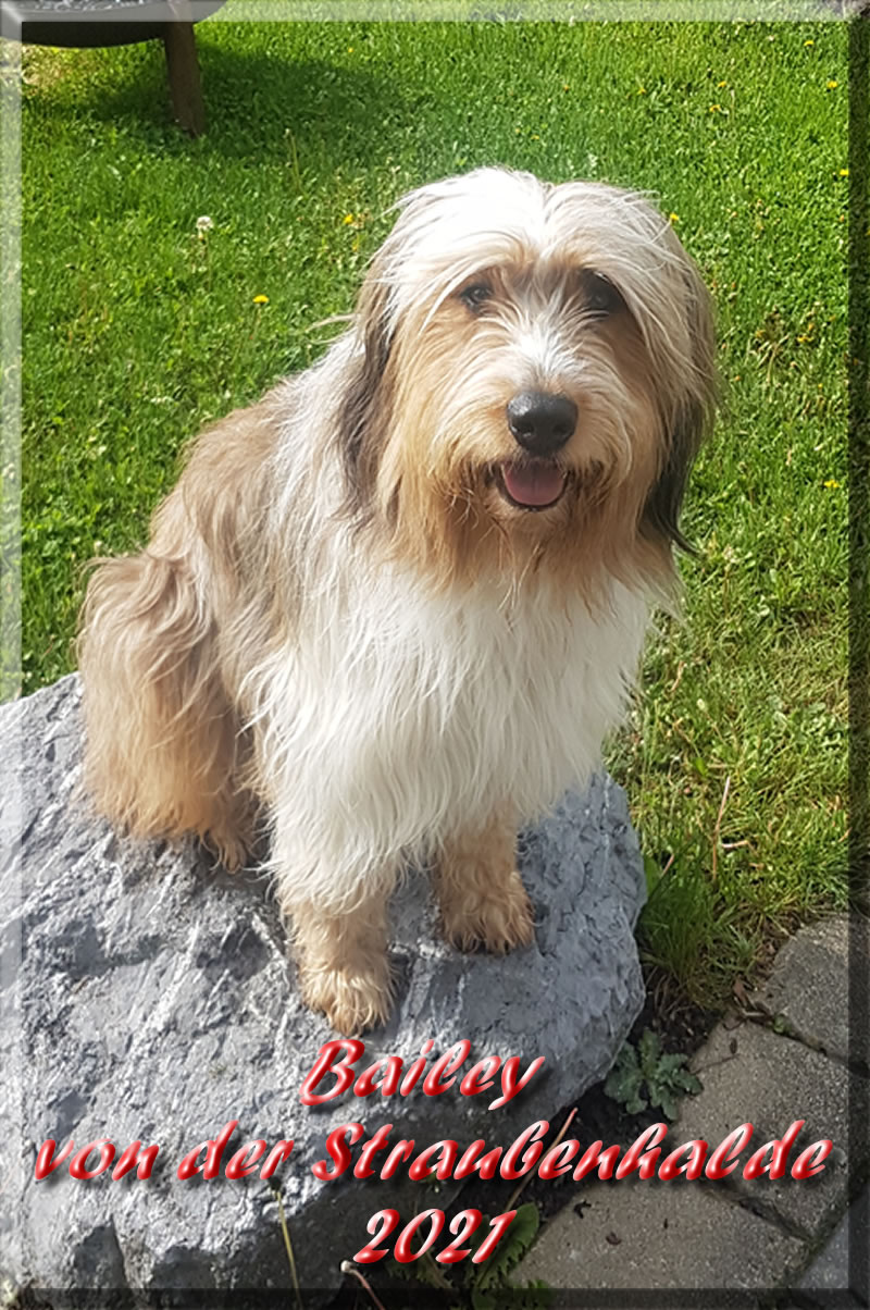 Bailey-von-der-Straubenhalde 5 Jahre 
