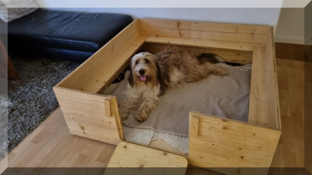 C-Wurf-von-der-Straubenhalde-2021