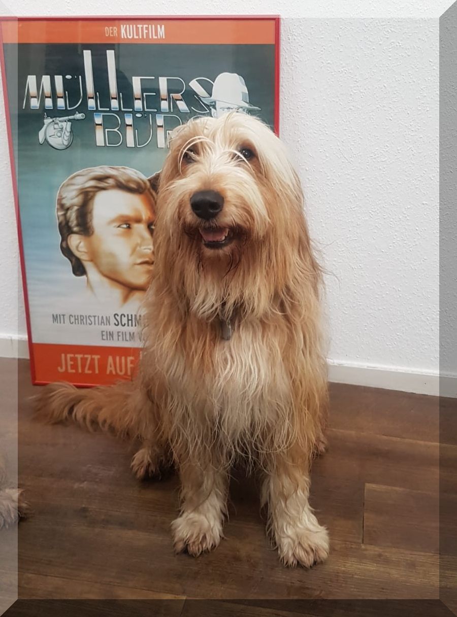 Luna_von_der_Straubenhalde_2021