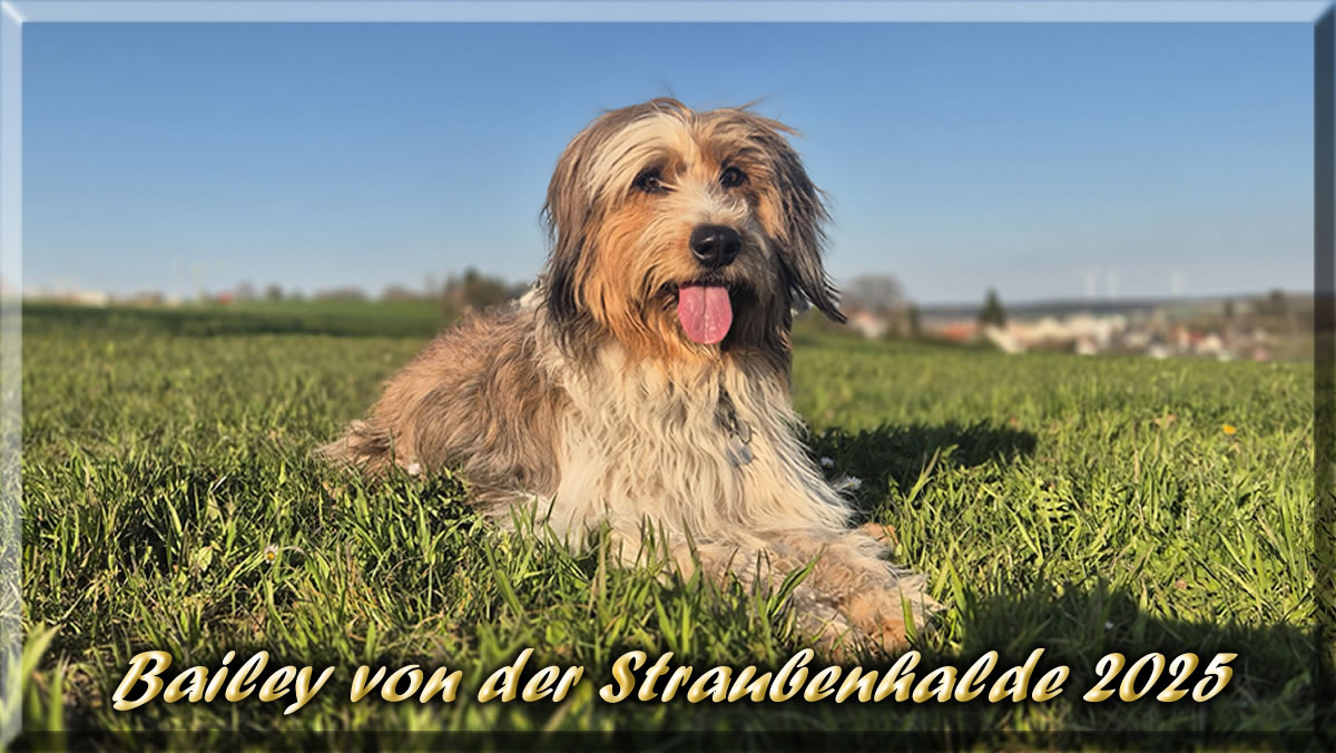 Bailey-von-der-Straubenhalde 9 Jahre 