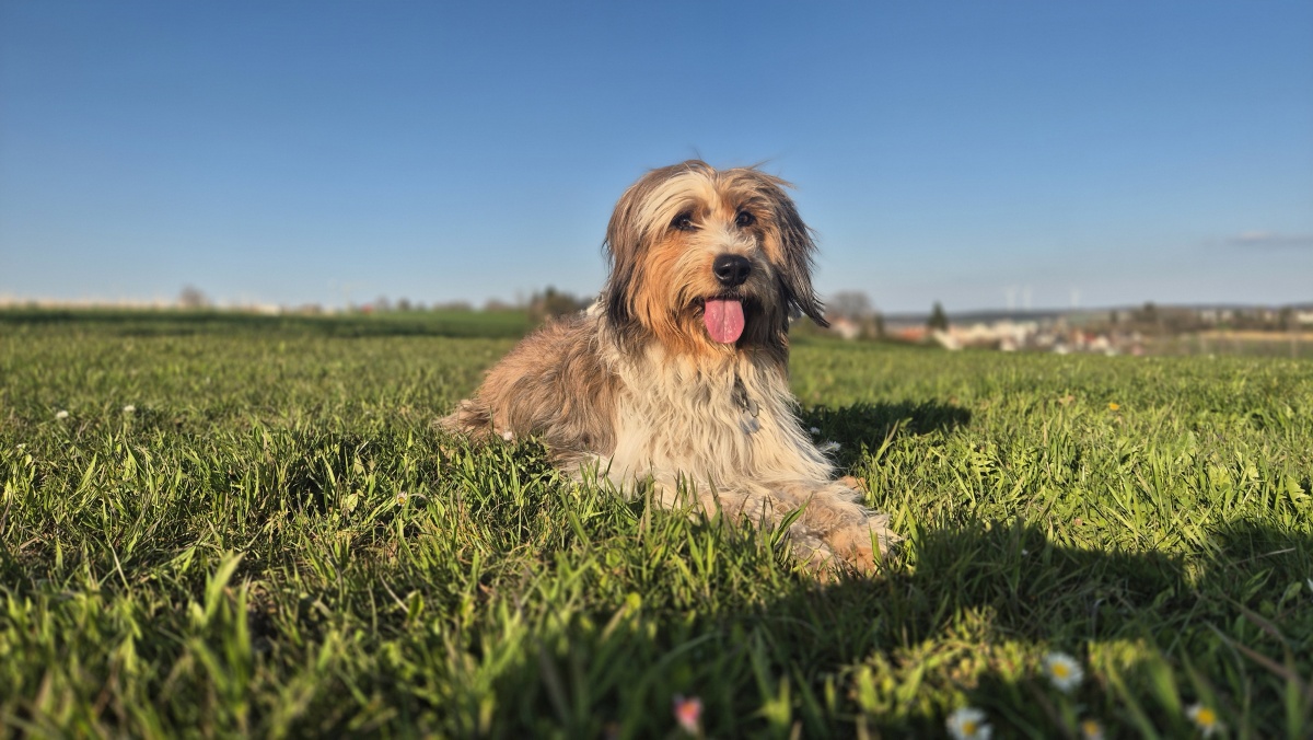 Bailey-von-der-Straubenhalde-2025
