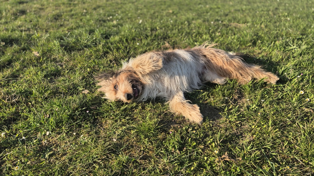 Bailey-von-der-Straubenhalde-2025