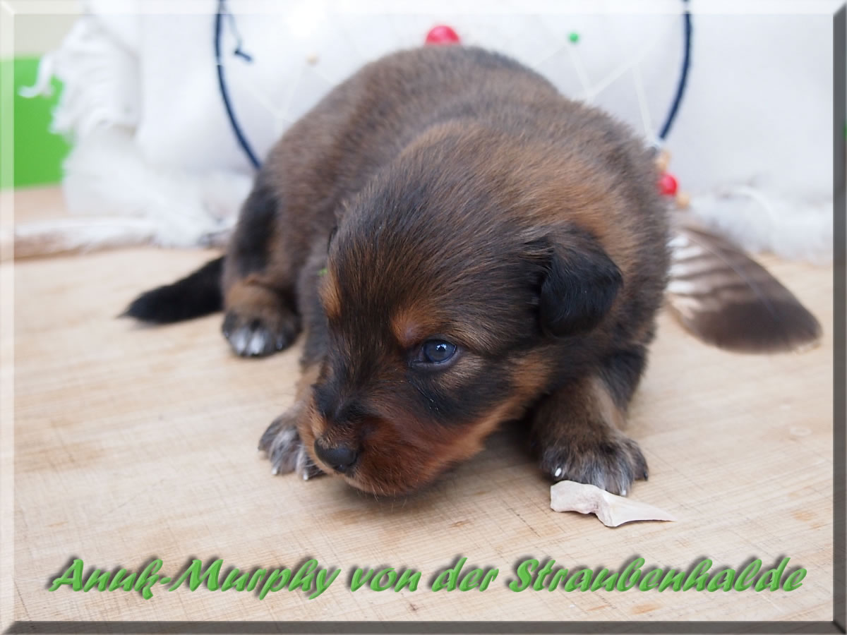 Anuk-Murphy-von-der-Straubenhalde