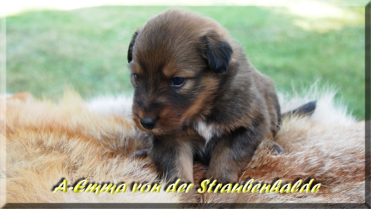 A-Emma-von-der-Straubenhalde