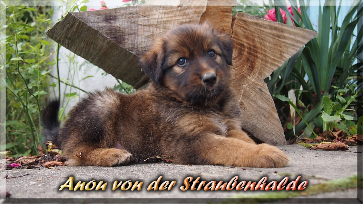 Anou-von-der-Straubenhalde