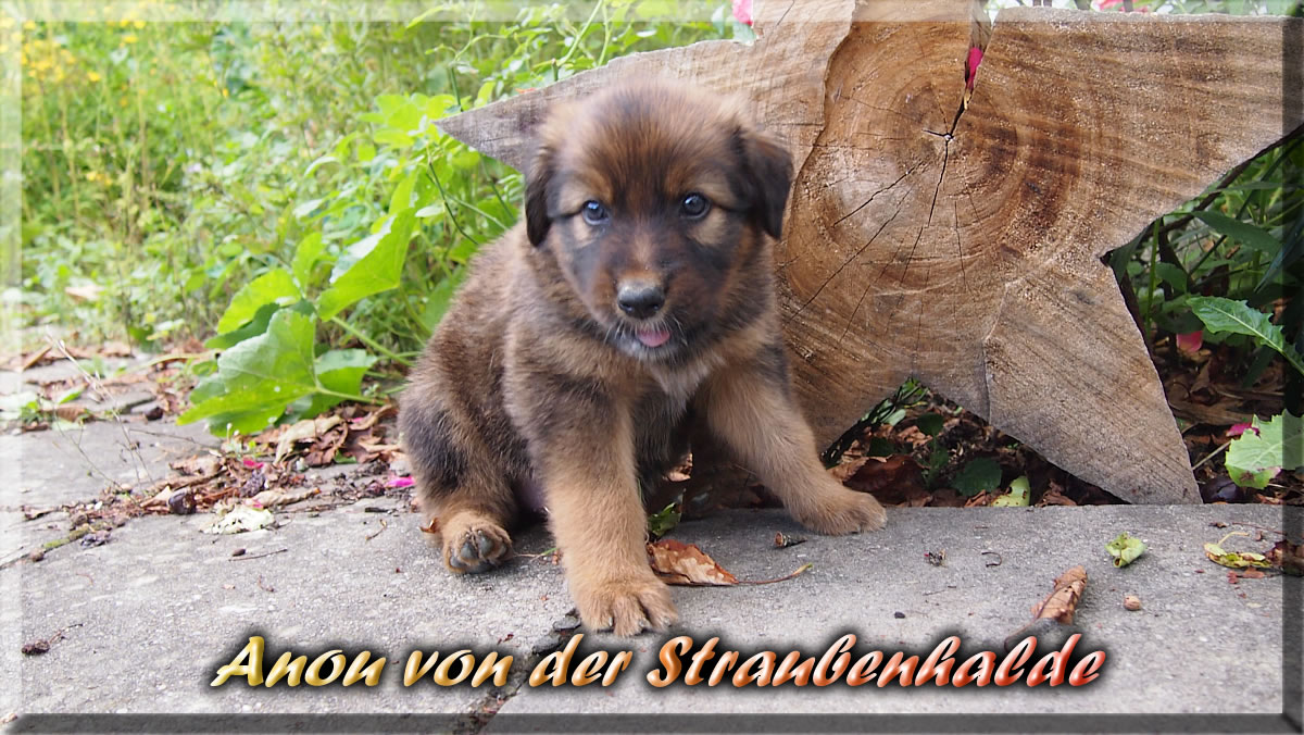 Anou-von-der-Straubenhalde