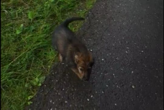 Anou-von-der-Straubenhalde