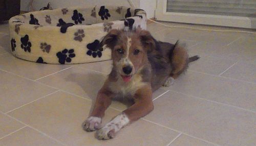 Minou-von-der-Straubenhalde