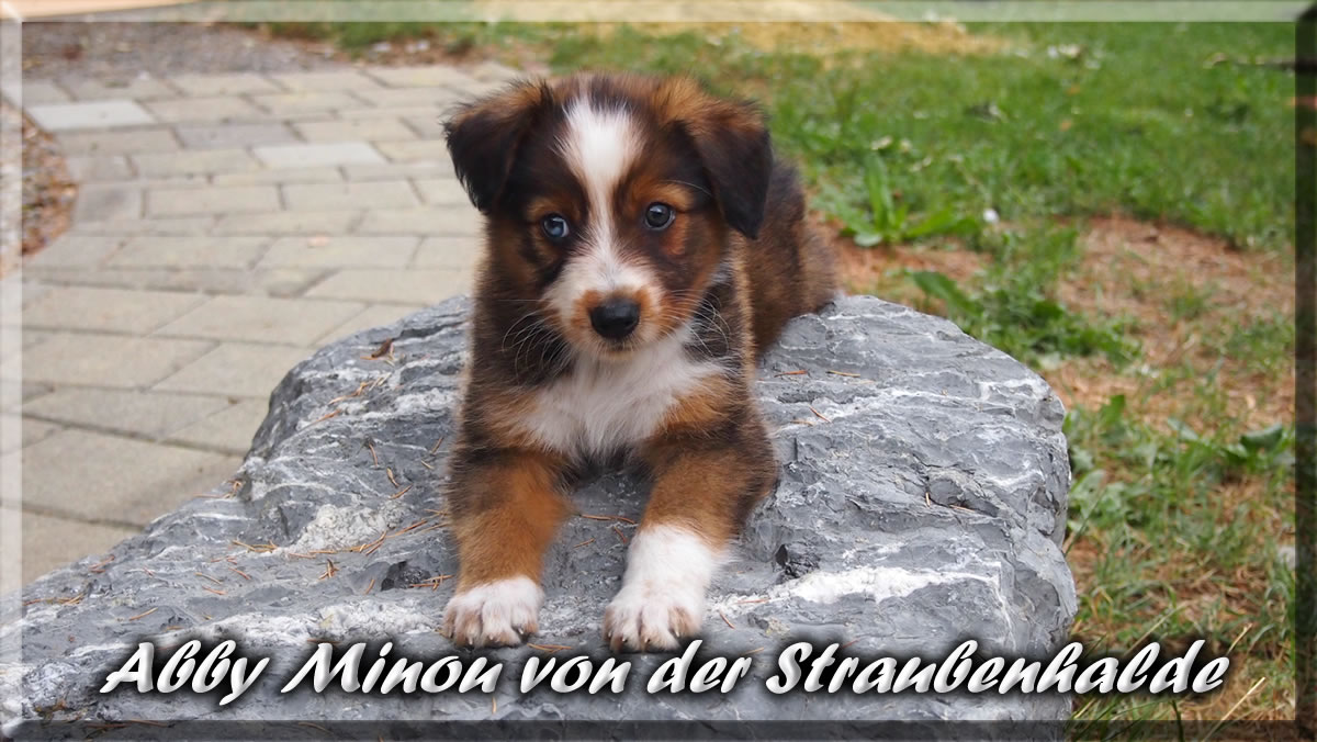 Abby-Minou-von-der-Straubenhalde
