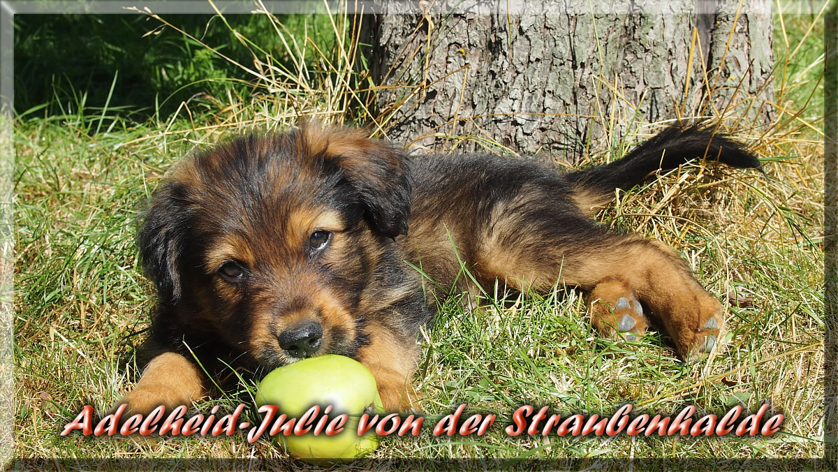 Adelheid-Julie-von-der-Straubenhalde