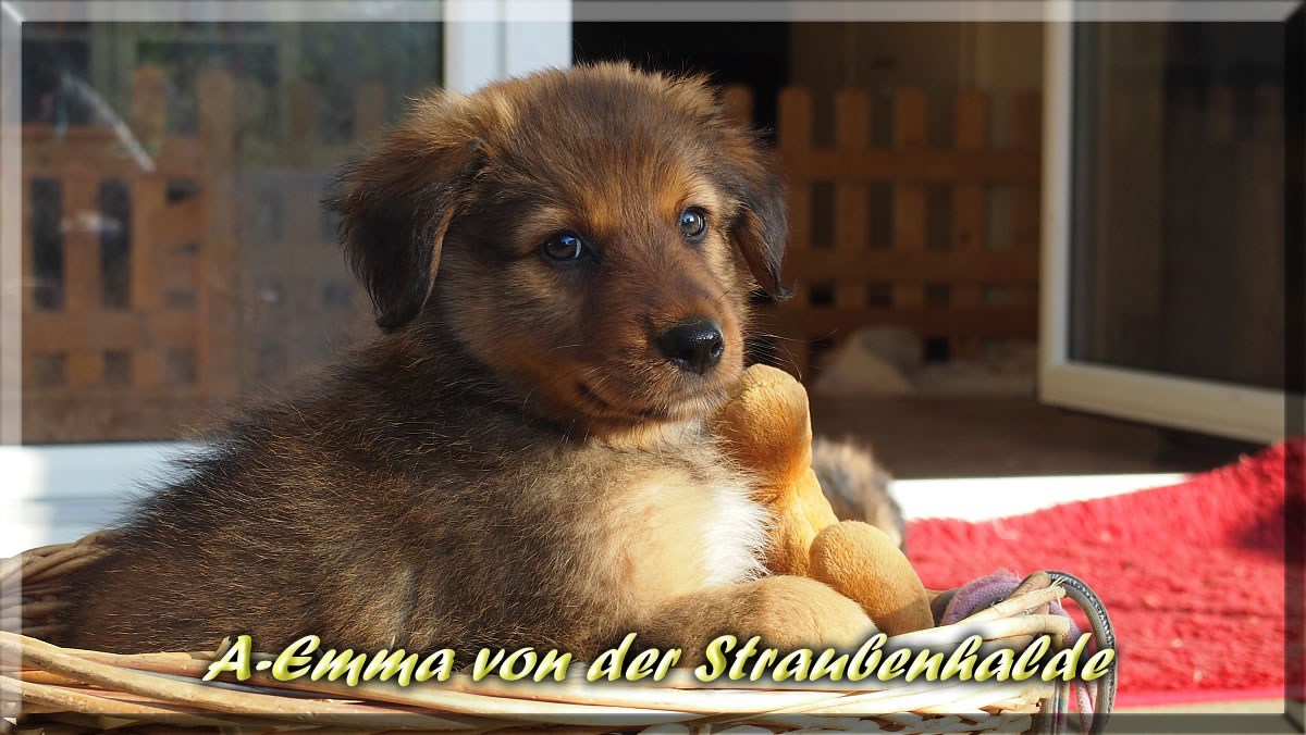 A-Emma-von-der-Straubenhalde