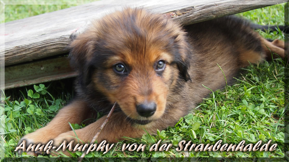 Anuk-Murphy-von-der-Straubenhalde