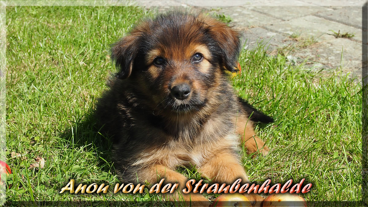 Anou-von-der-Straubenhalde