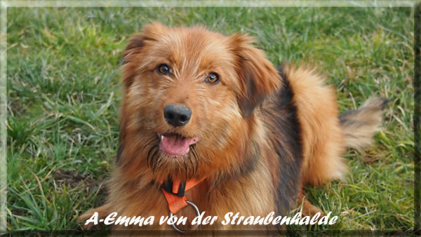 A-Emma-von-der-Straubenhalde