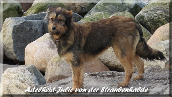 Adelheid-Julie-Waeller-von-der-Straubenhalde-2014-01