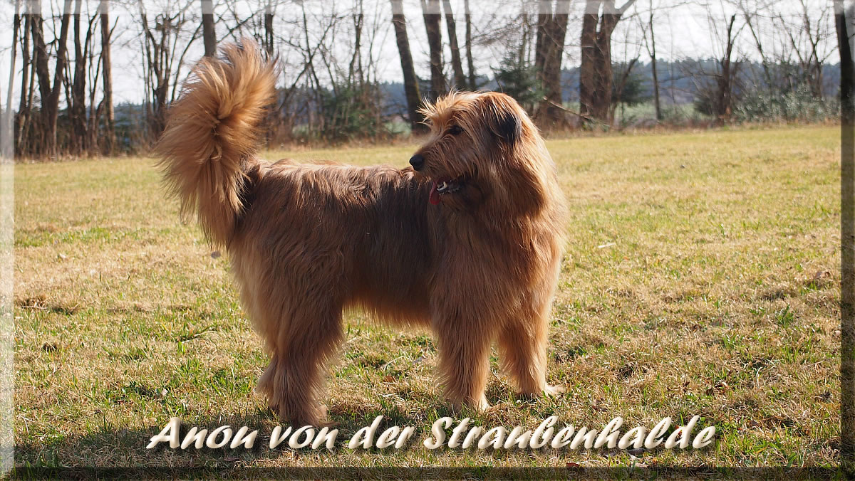 Anou-Waeller-von-der-Straubenhalde-2014