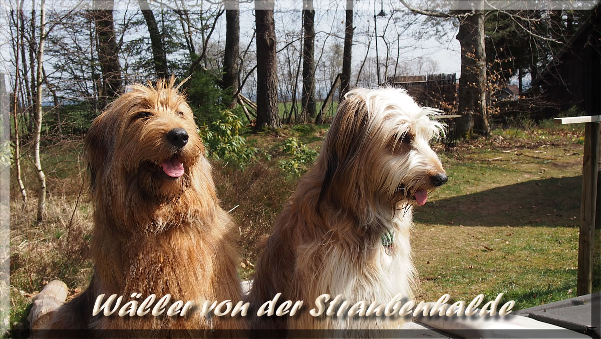 Anou-Waeller-von-der-Straubenhalde-2014