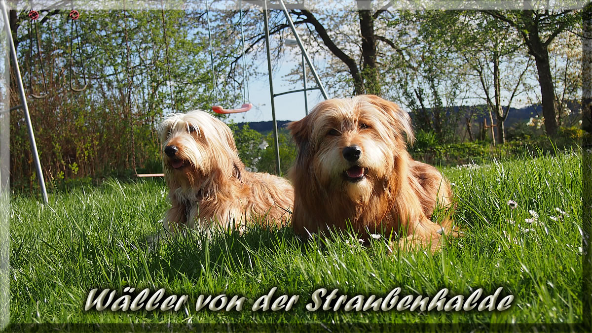 Attila-von-der-Straubenhalde