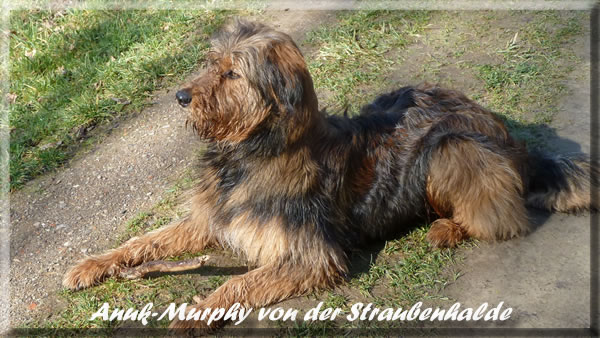 Murphy-Waeller-von-der-Straubenhalde-2014