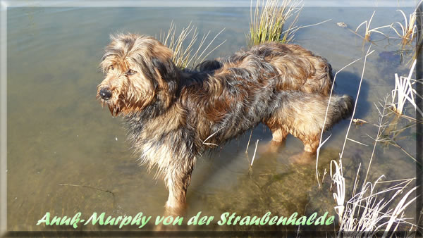 Murphy-Waeller-von-der-Straubenhalde-2014