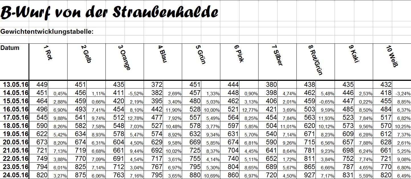 Wäller von der Straubenhalde
