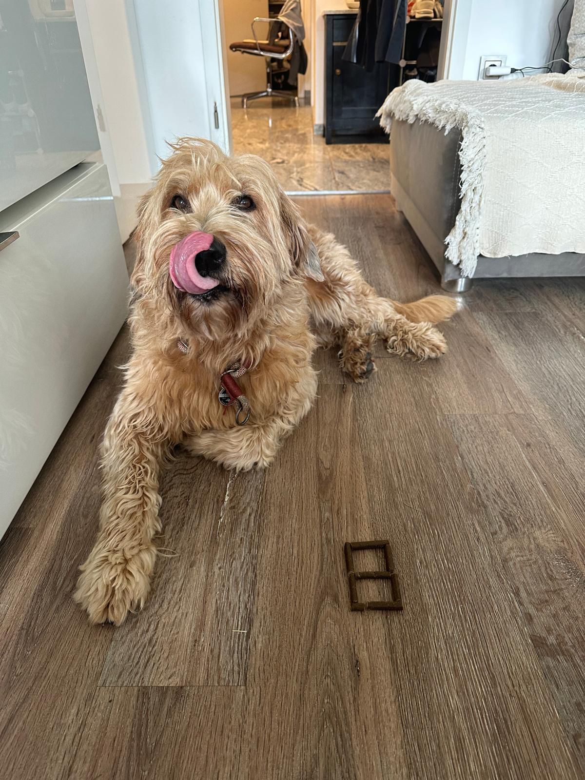 Wäller von der Straubenhalde