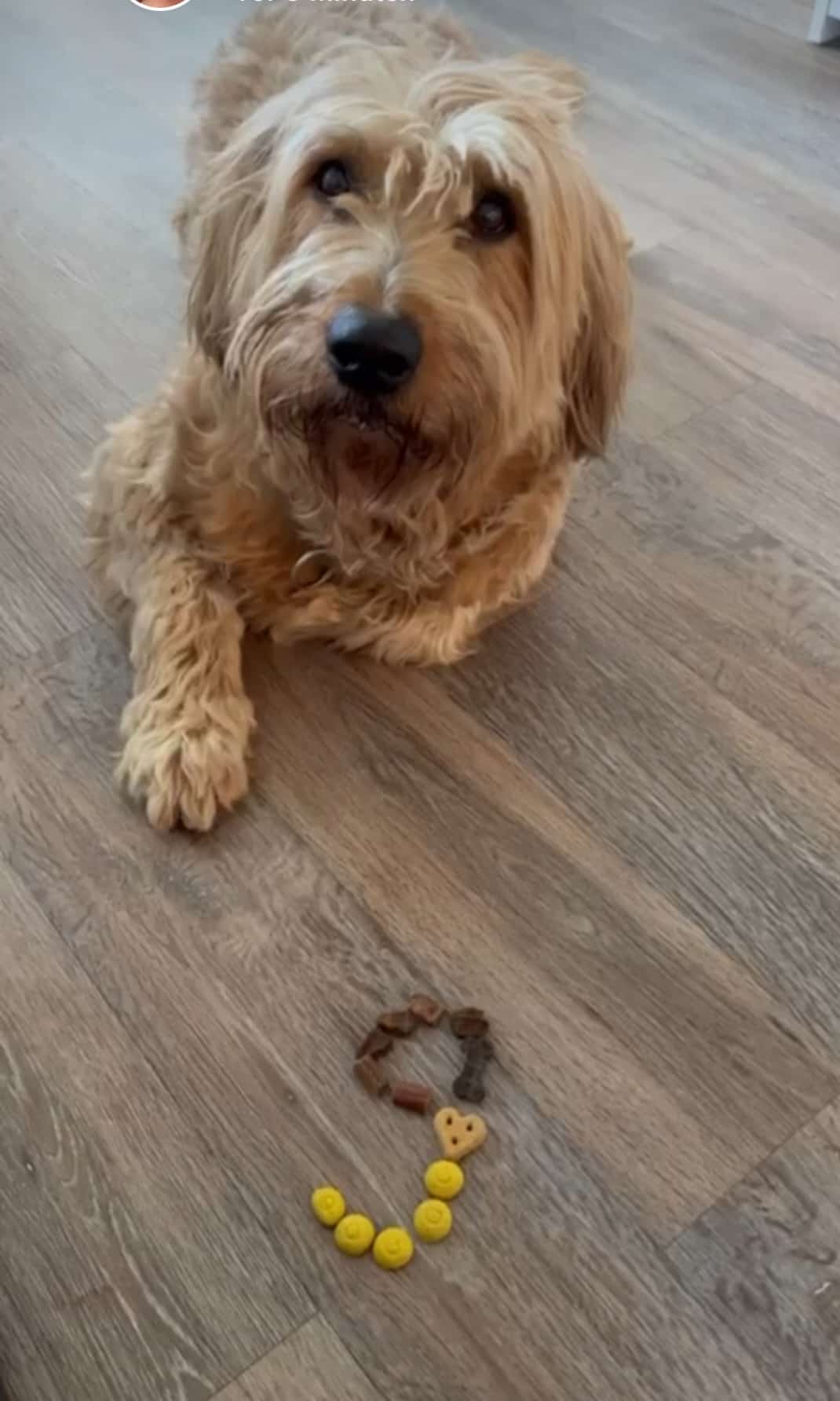 Wäller von der Straubenhalde