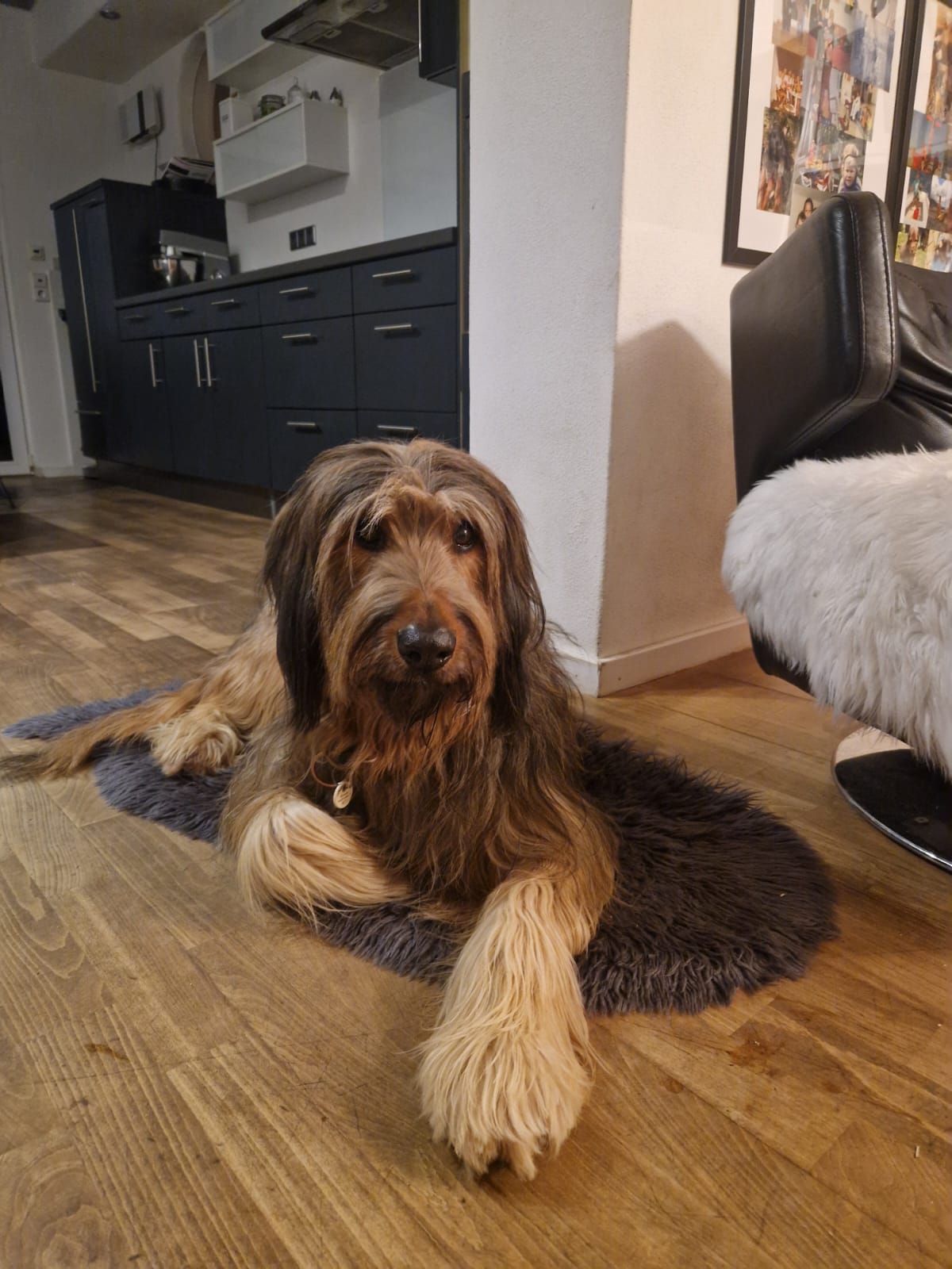 Wäller von der Straubenhalde