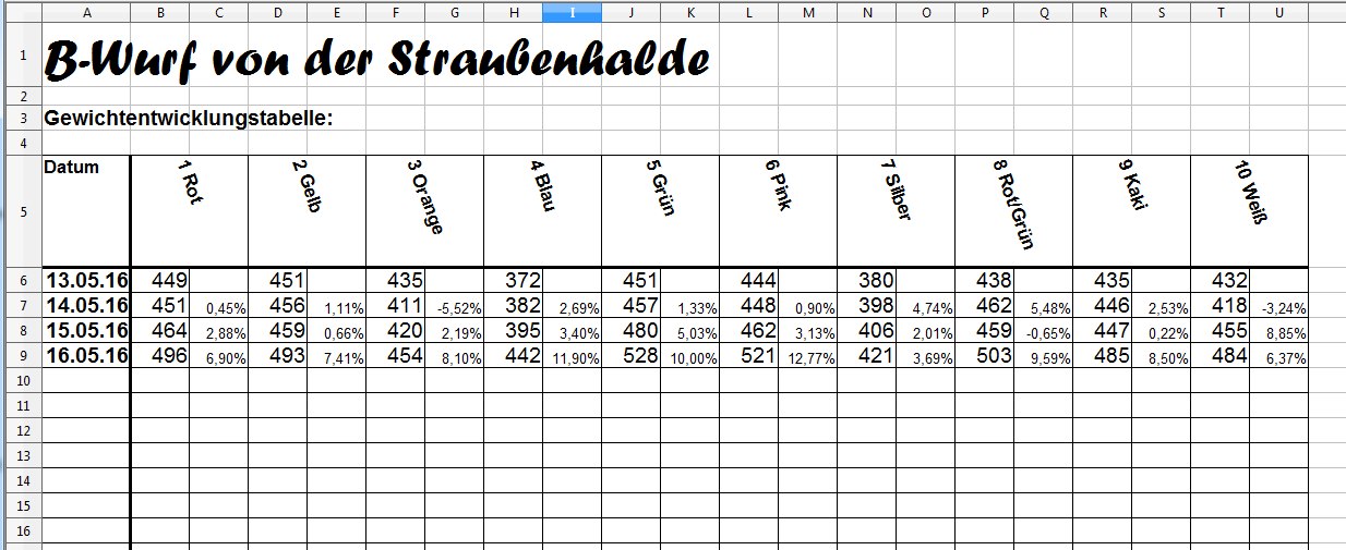 Wäller von der Straubenhalde